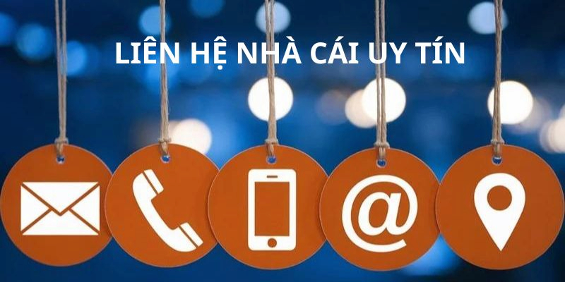 D79bet sẵn sàng cung cấp đa dạng loại hình liên hệ nhằm hỗ trợ người chơi