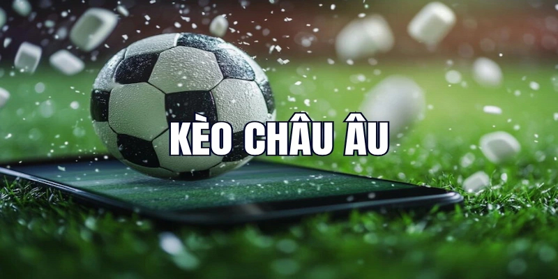 Theo dõi các thông tin từ những chuyên gia D79bet