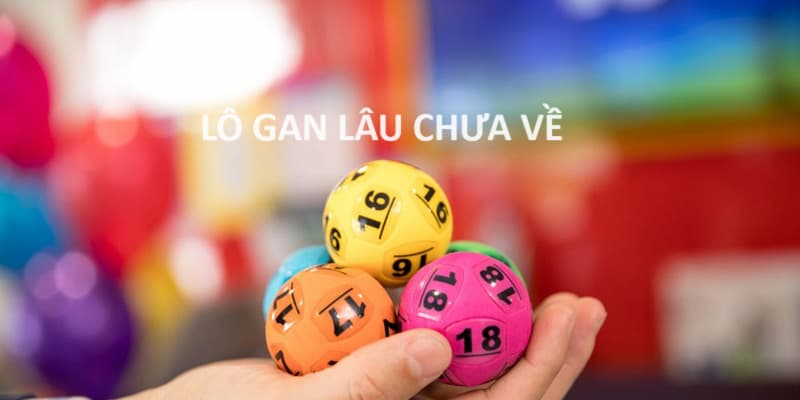 Bỏ túi bí quyết đánh lô gan D79bet  cực chuẩn