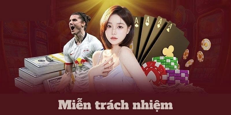 Người chơi được yêu cầu đảm bảo tính chính xác thông tin